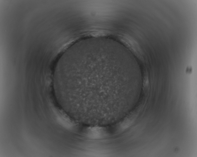 X0000092320367200709281411