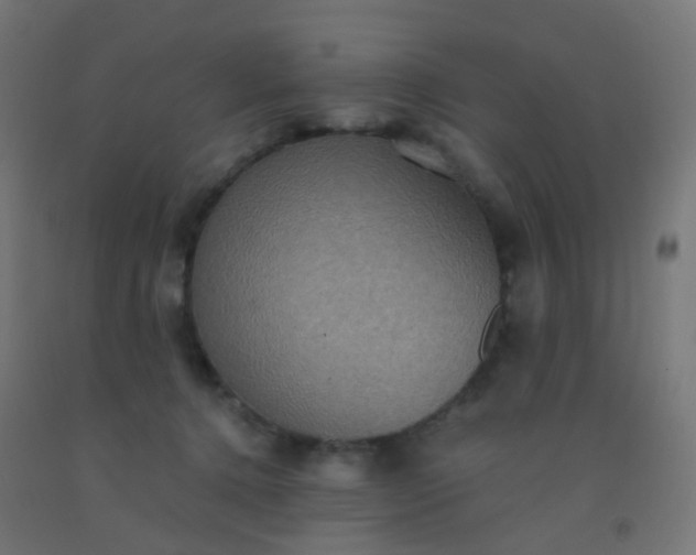 X0000092320368200709281411