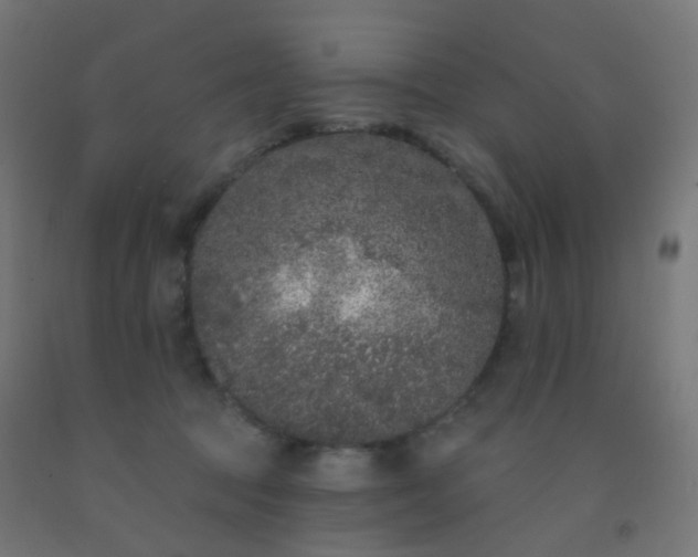 X0000092320369200709281411