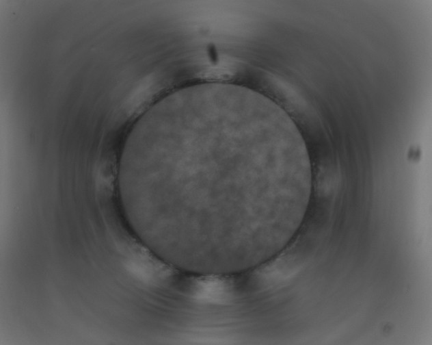 X0000092320370200709281411