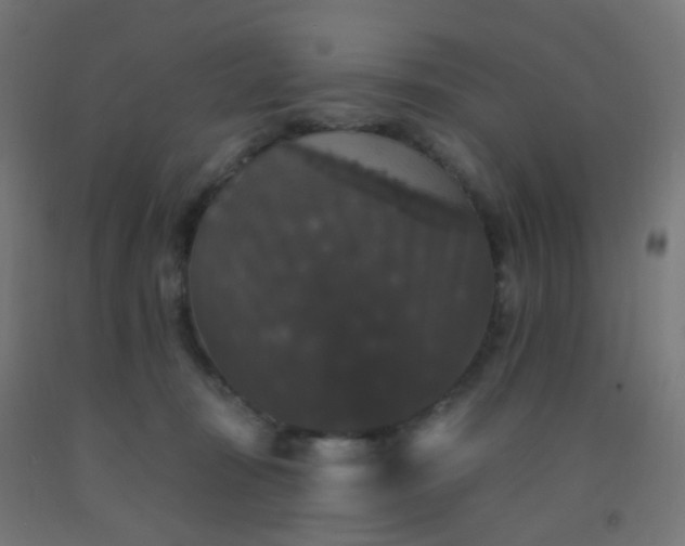 X0000092320371200709281411