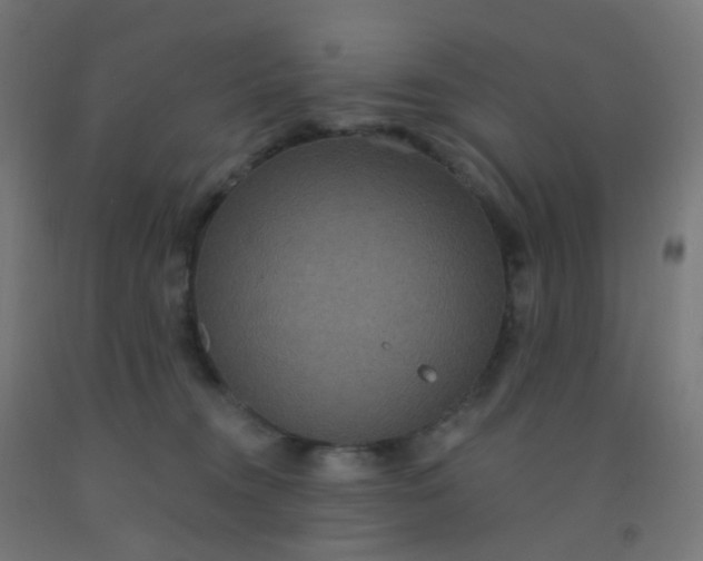 X0000092320372200709281411