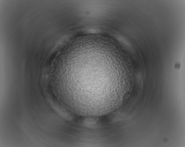 X0000092320373200709281411