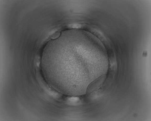 X0000092320374200709281411