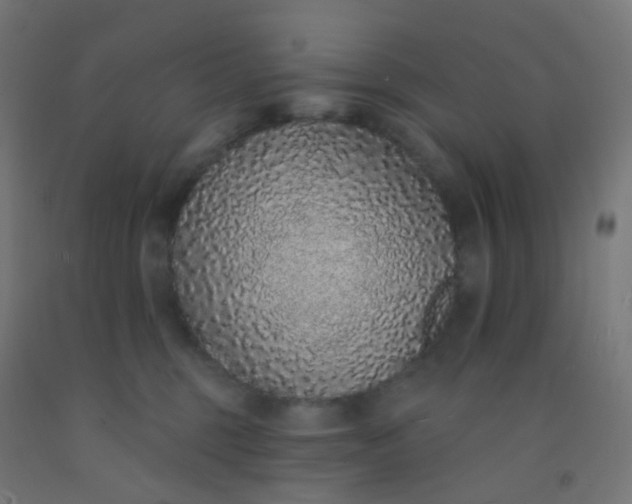 X0000092320375200709281411