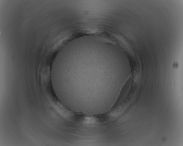 X0000092320376200709281411