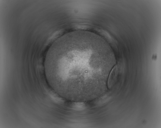 X0000092320377200709281411