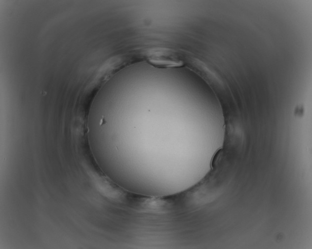 X0000092320379200709281411