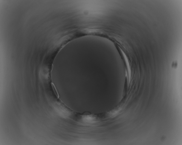 X0000092320380200709281411