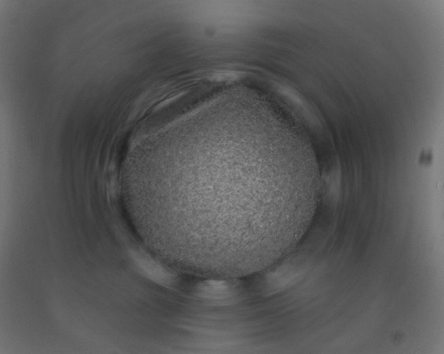 X0000092320381200709281411