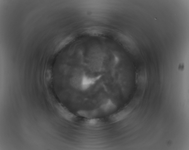 X0000092320382200709281411