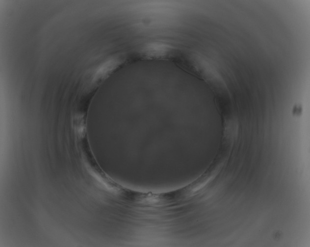 X0000092320383200709281411