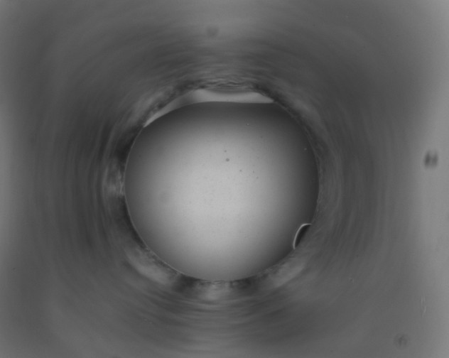 X0000092320384200709281411