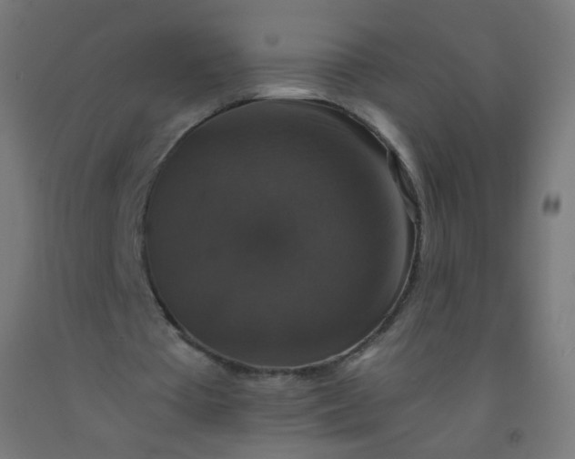 X0000092320385200709281410