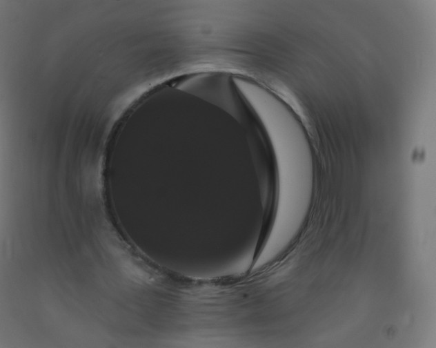 X0000092320387200709281410