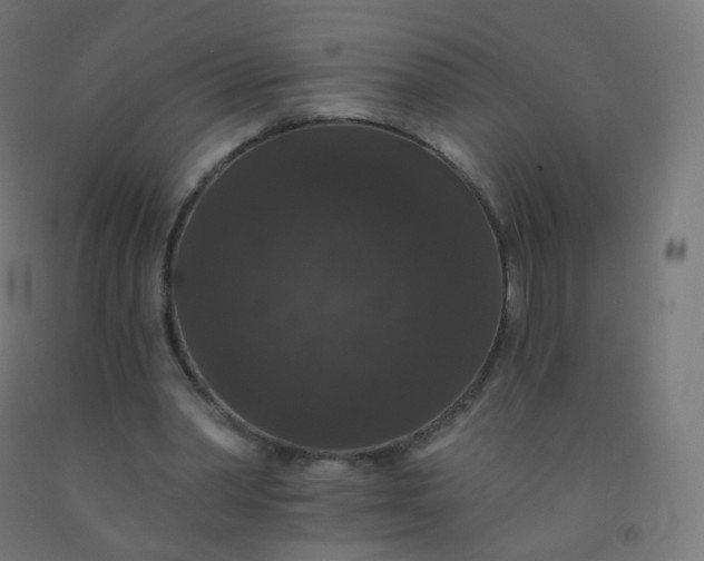 X0000092320390200709281410