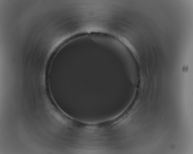 X0000092320391200709281410