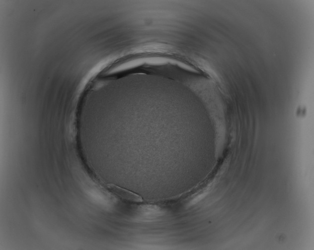 X0000092320392200709281410