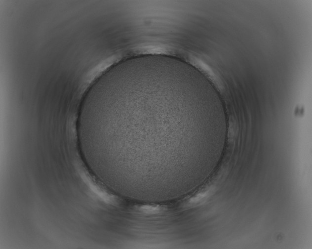 X0000092320394200709281410
