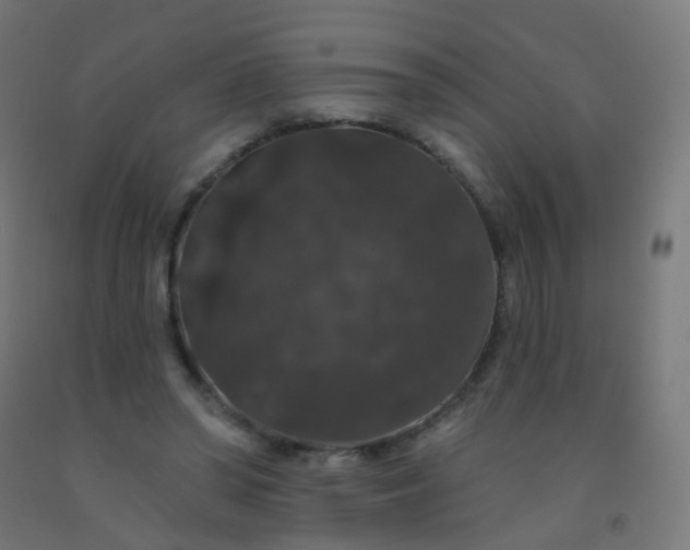 X0000092320398200709281410