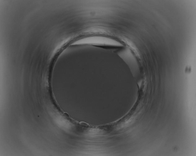 X0000092320399200709281410