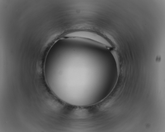 X0000092320403200709281410