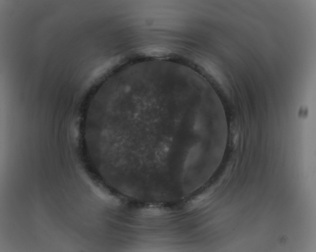 X0000092320404200709281410