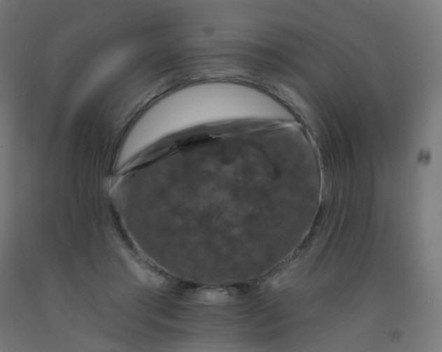 X0000092320405200709281410