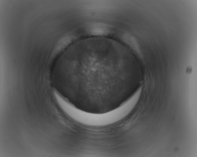 X0000092320407200709281410
