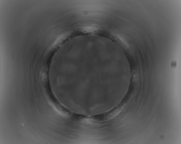 X0000092320408200709281410