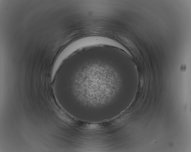 X0000092320409200709281410