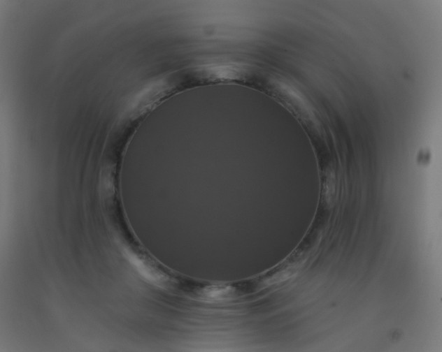 X0000092320410200709281410