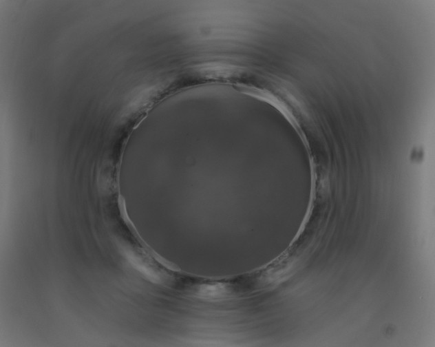 X0000092320411200709281410