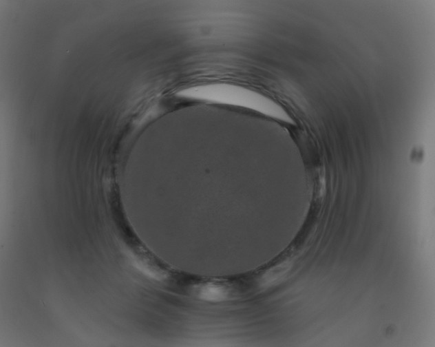 X0000092320412200709281410