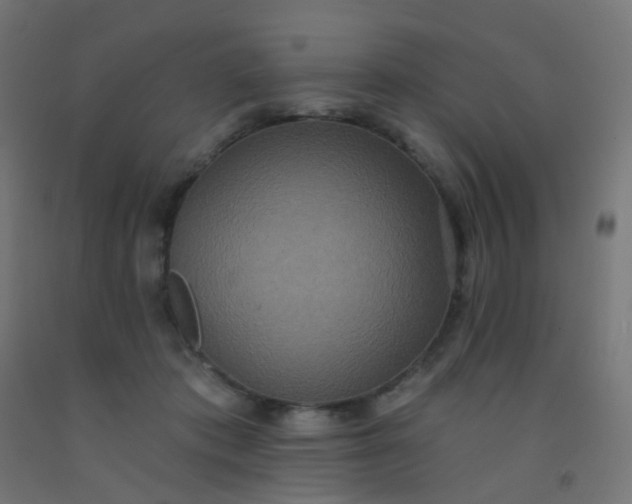 X0000092320413200709281410