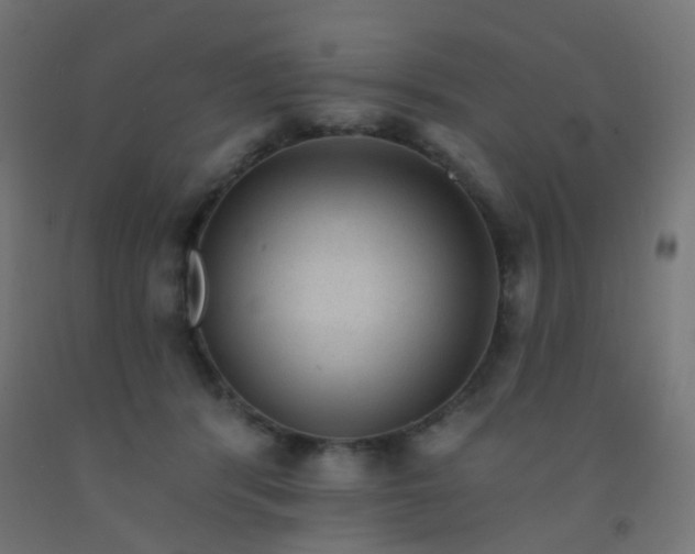 X0000092320416200709281410