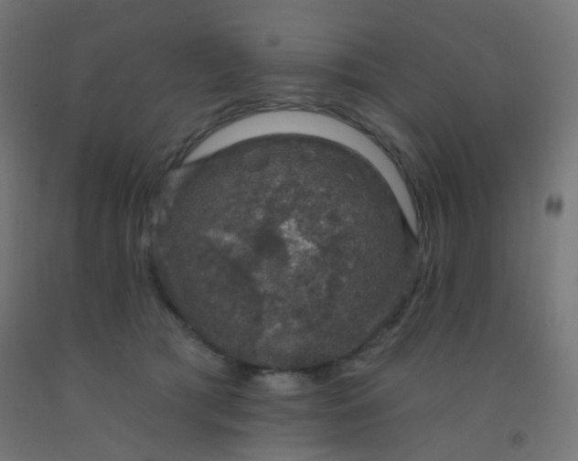 X0000092320417200709281410