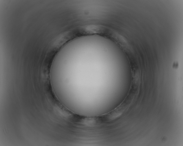 X0000092320418200709281410