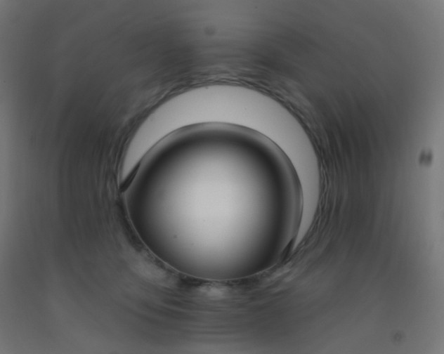 X0000092320419200709281410