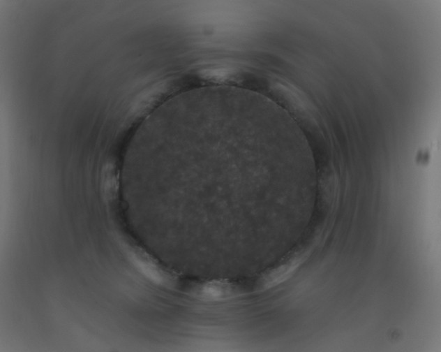 X0000092320420200709281410