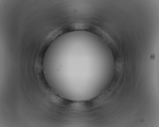 X0000092320422200709281410