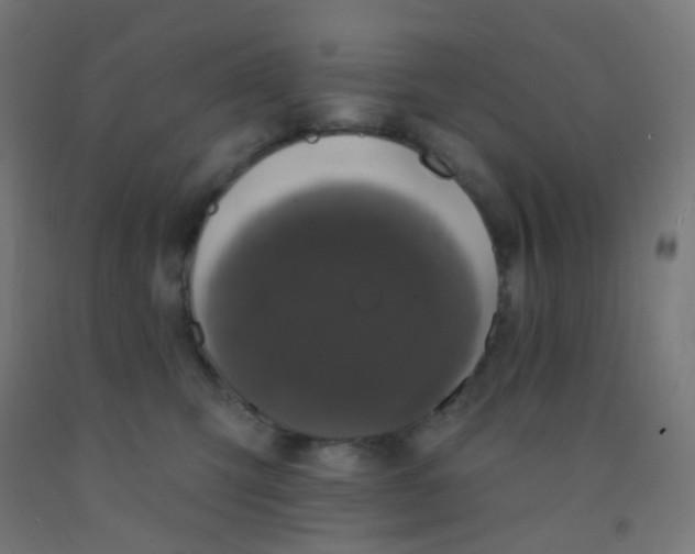 X0000092320423200709281410