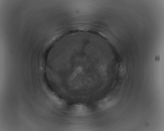 X0000092320424200709281410