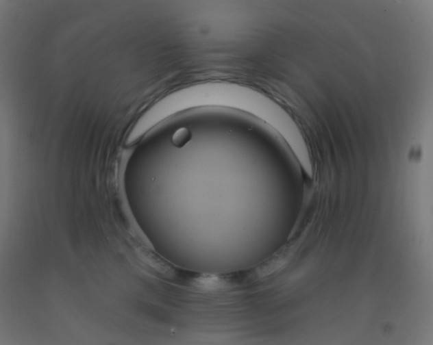 X0000092320425200709281410