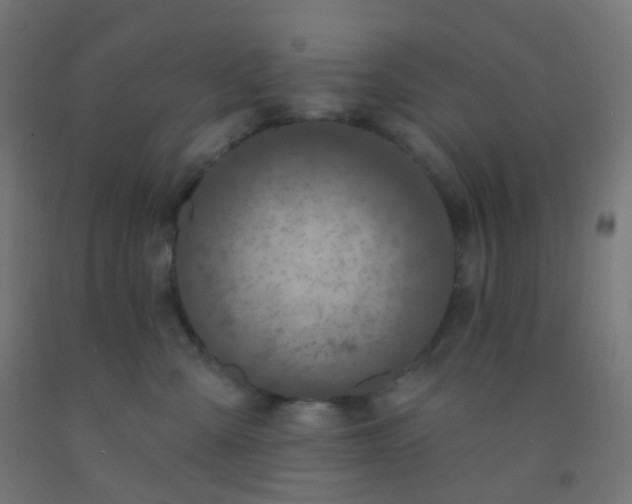 X0000092320427200709281410