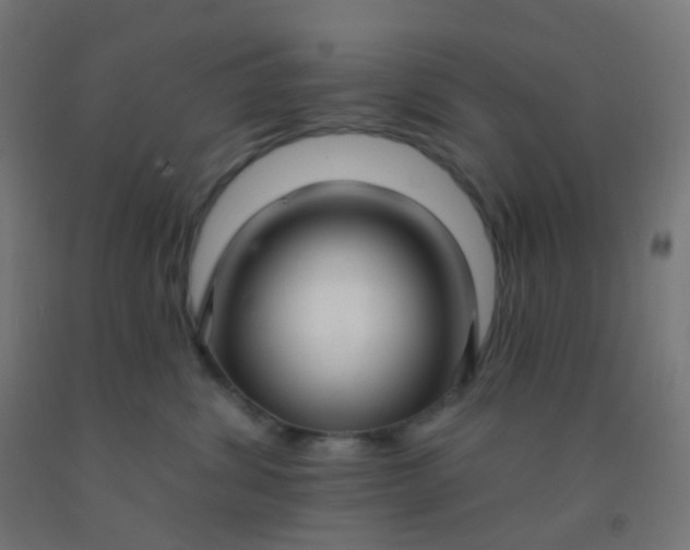 X0000092320428200709281410