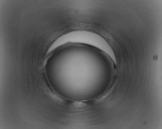 X0000092320429200709281410