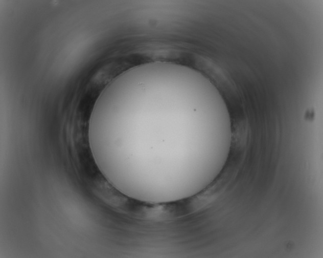 X0000092320430200709281410