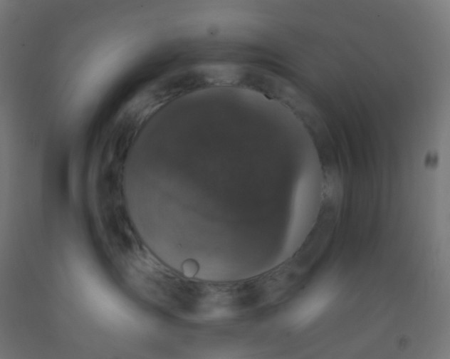 X0000092320431200709281410