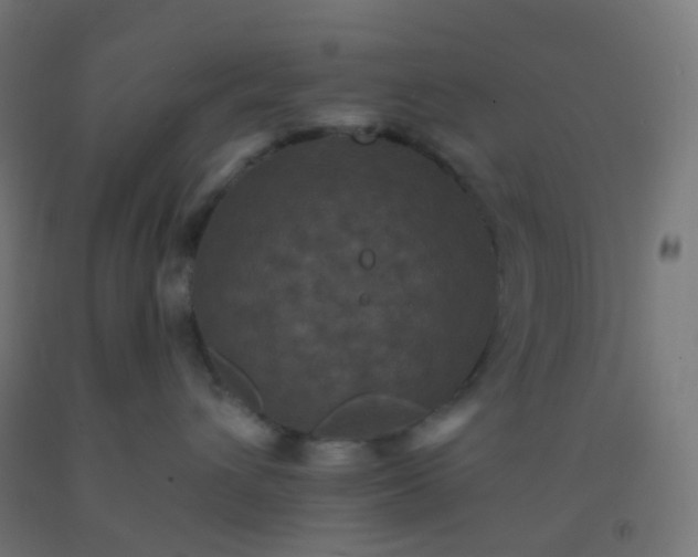 X0000092320432200709281410